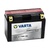 Akumulators VARTA 12V  8Ah  115A  Powersports AGM  149*70*105  +-