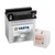 Akumulators VARTA 12V  11Ah  150A  Powersports  SLI  136*91*146  -+
