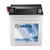 Akumulators VARTA 12V  12Ah  160A  Powersports  SLI  136*82*161  -+