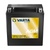 Akumulators VARTA 12V  14Ah  210A  Powersports AGM  150*87*161  +-