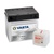 Akumulators VARTA 12V  30Ah  300A  Powersports  SLI  186*130*171  +-