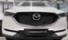 Aizsargs radiatora atdzišanai TAMMERS Mazda CX-5 2018-