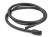 Calix Savienojošais kabelis SK C L 1.9